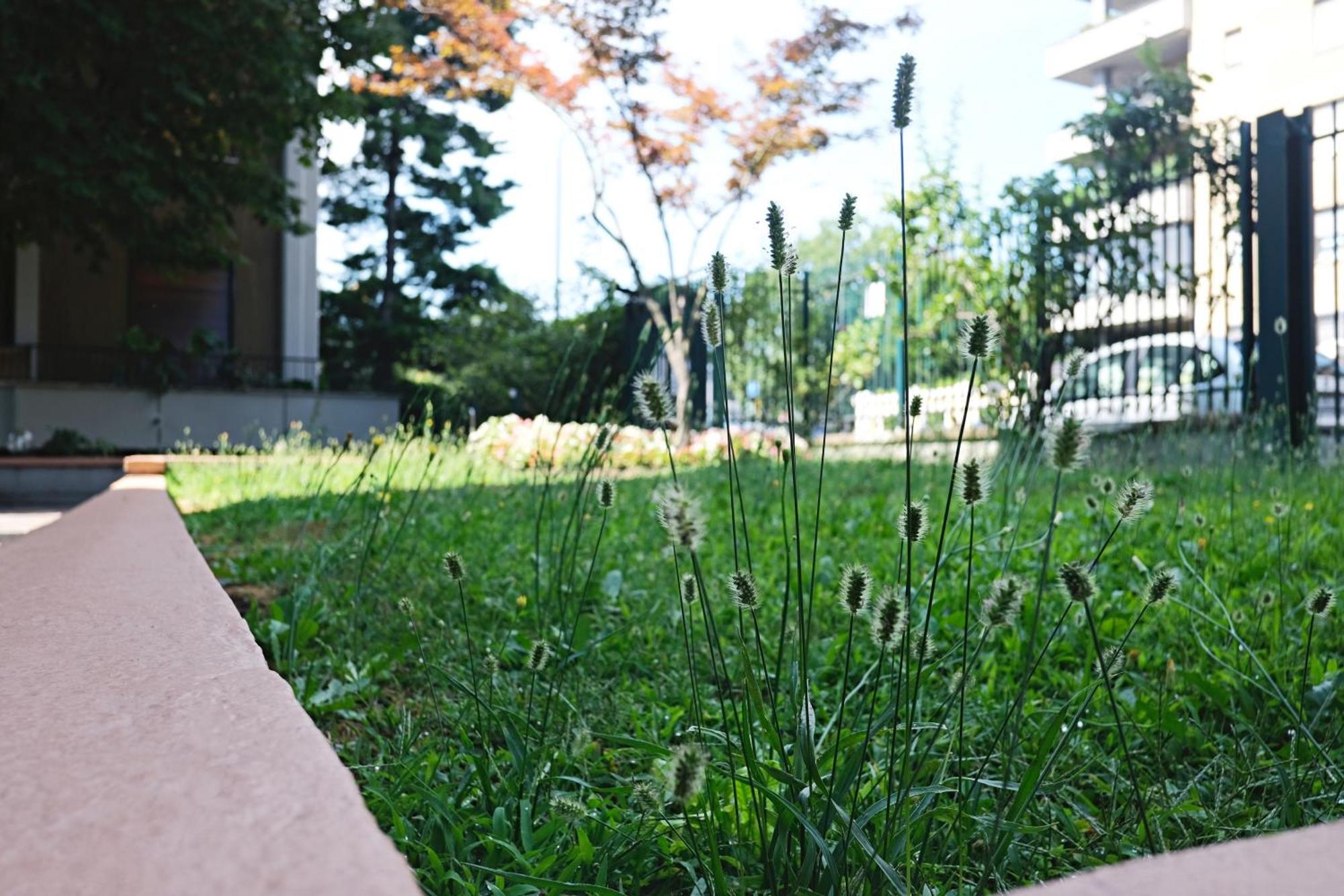 Bwr - Elegant Loft With Terrace, San Siro Mailand